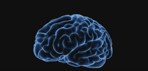 Reinforcing Memory