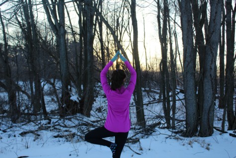 Mind, body, balance and scientific soundness