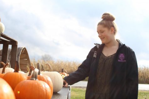 Life on a pumpkin farm