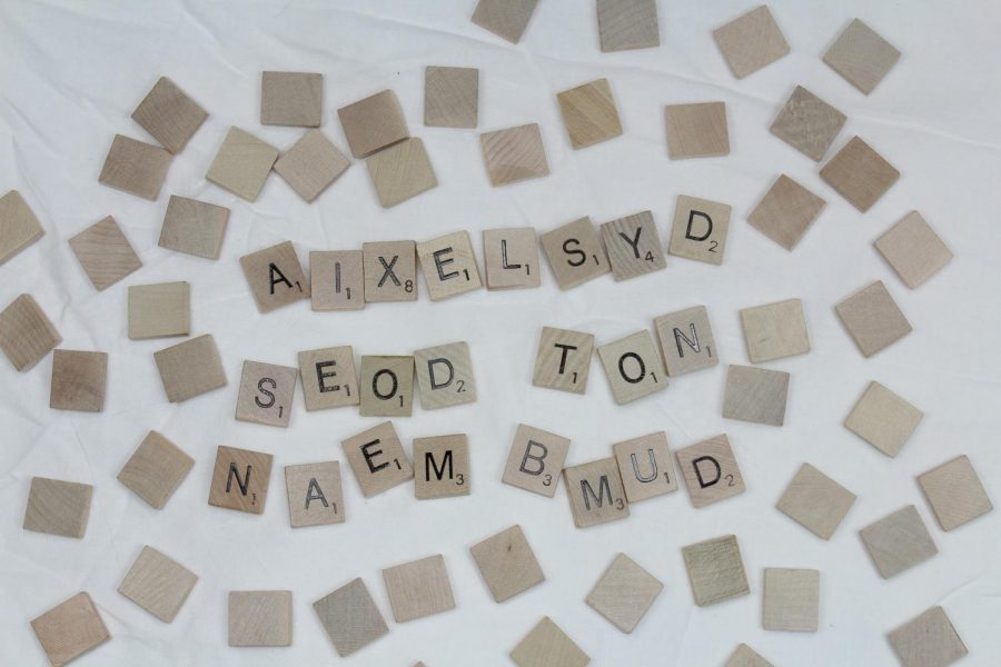 Dyslexia does not mean dumb
