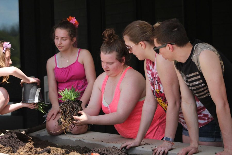 Contributing to the cause, senior Tori Shepard spent her Saturday planting flowers, such as hemerocallis, with the rest of the crew. Because students kept saying the landscape of the school looked like a jail, a beautification crew planted a variety of pollinator friendly plants outside the school.