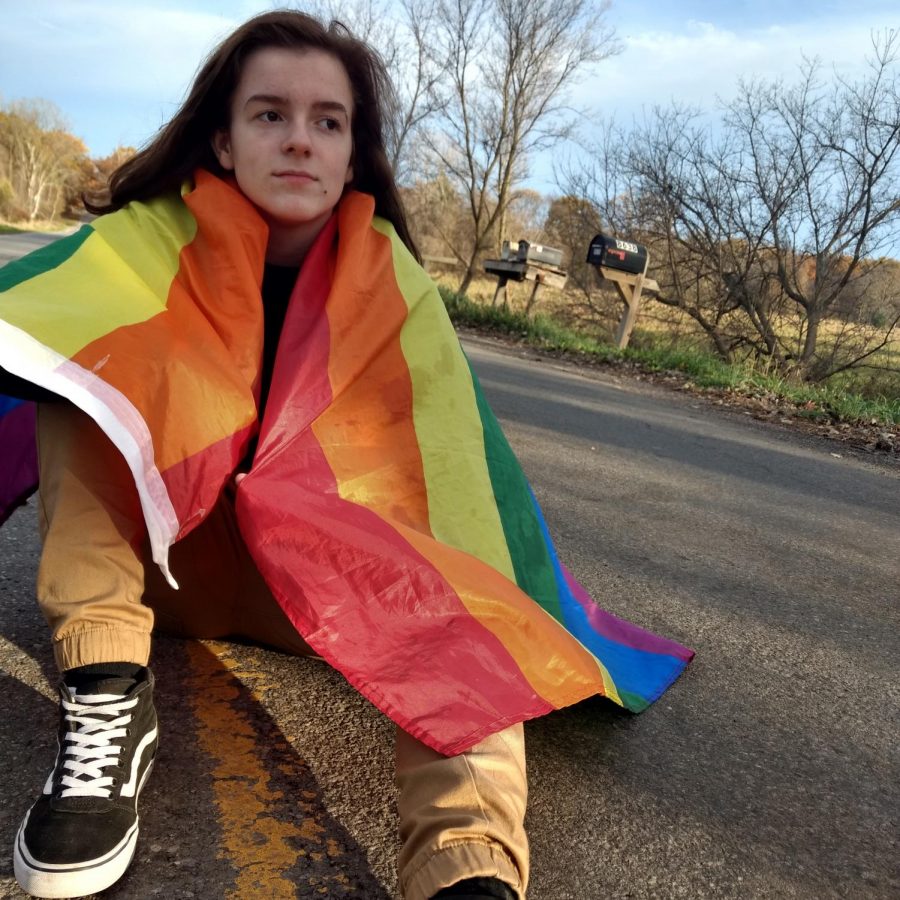 “The GSA makes me feel more supported and valid because the other members make me realize im not alone,” sophomore Melanie Eskew said. She came out in 2017 and described not exactly feeling supported or valid, but does now with the support of this group.
